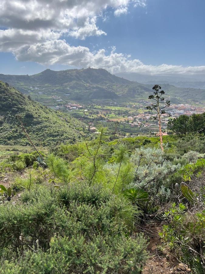 Apartamento En Bajamar -Tenerife Dış mekan fotoğraf